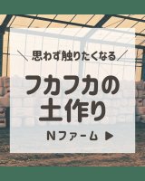 Nファーム土づくり