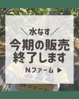 2026年度、水なす販売終了のお知らせ