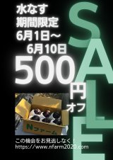 【期間限定クーポンあり】朝採れを直送。今季の仕上がり、ぜひ味わって下さい！！