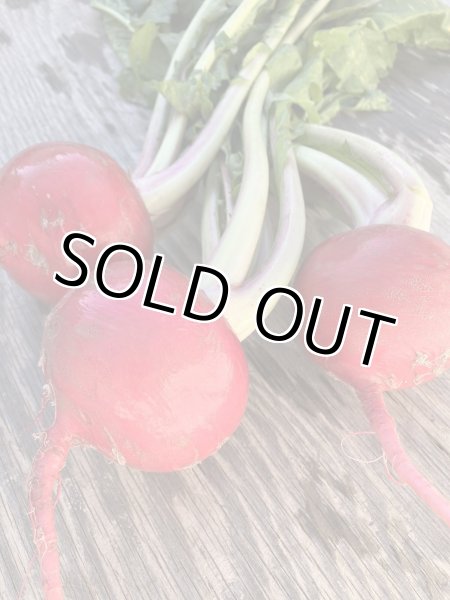 画像2: もものすけ（サラダカブ）＋別途送料 (2)