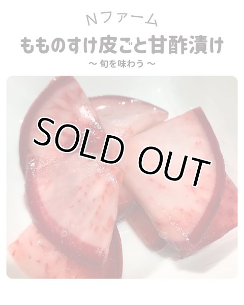 画像4: もものすけ（サラダカブ）＋別途送料 (4)
