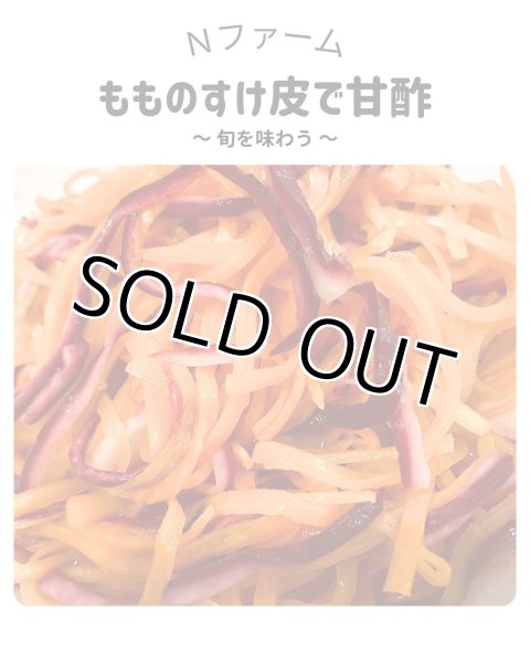 画像5: もものすけ（サラダカブ）＋別途送料 (5)