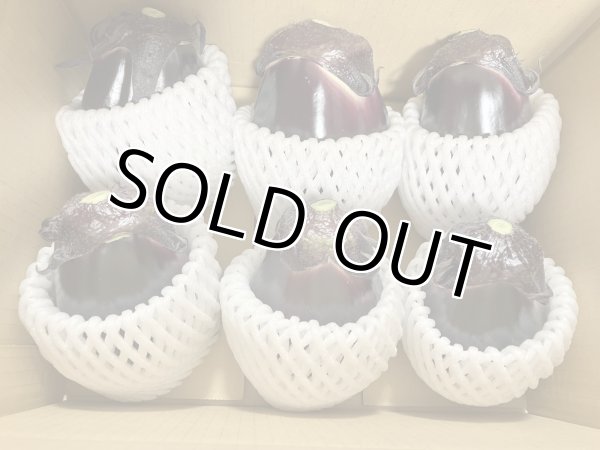 画像5: 水なす（6個入り）＋別途送料 (5)