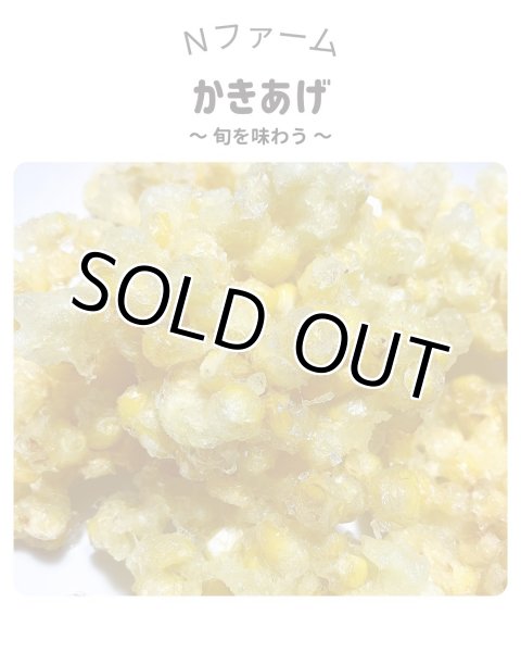 画像6: 期間限定　サニーショコラ（トウモロコシ）（6本入り）＋別途送料 (6)