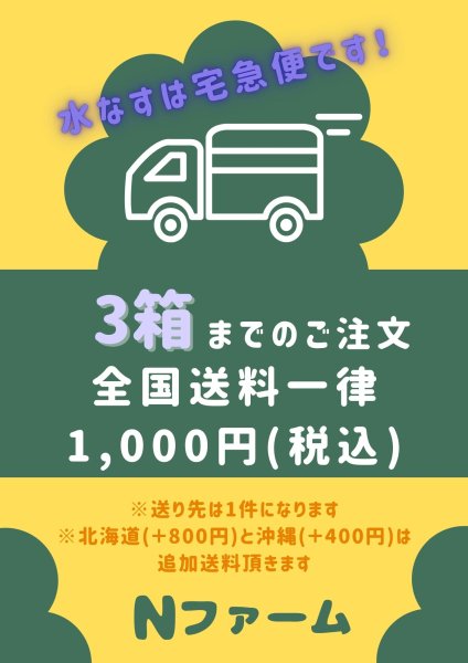 画像11: 水なす（6個入り）＋別途送料 (11)