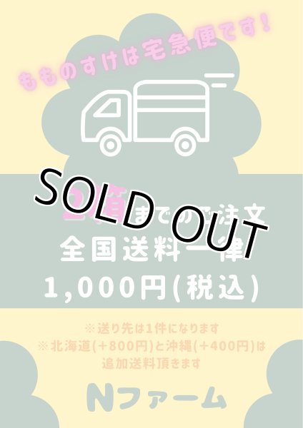 画像8: もものすけ（サラダカブ）＋別途送料 (8)