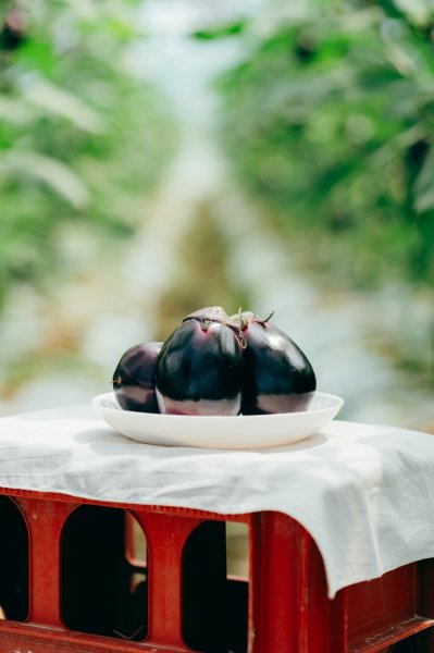 画像3: 水なす（6個入り）＋別途送料 (3)