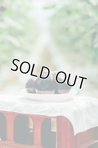 画像3: 水なす（6個入り）＋別途送料 (3)