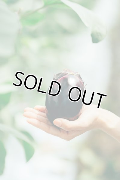 画像4: 水なす（6個入り）＋別途送料 (4)