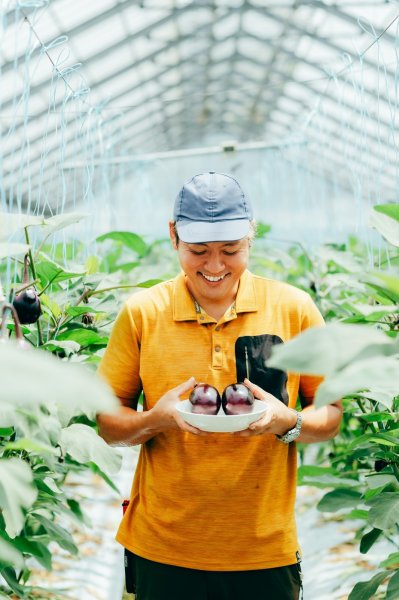 画像2: 水なす（6個入り）＋別途送料 (2)