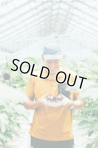 画像2: 水なす（6個入り）＋別途送料 (2)