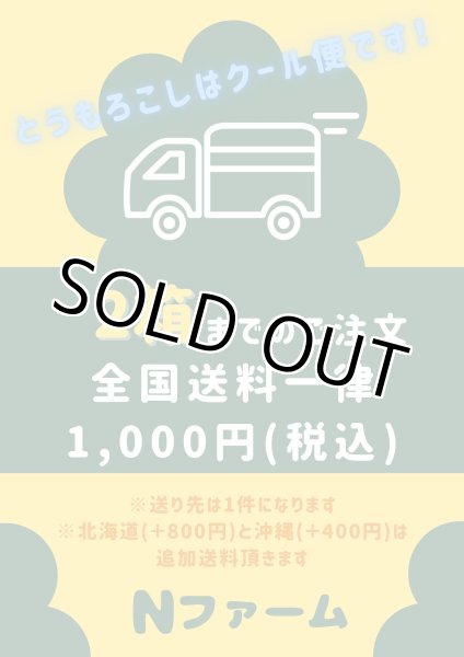 画像7: 期間限定　サニーショコラ（トウモロコシ）（6本入り）＋別途送料 (7)