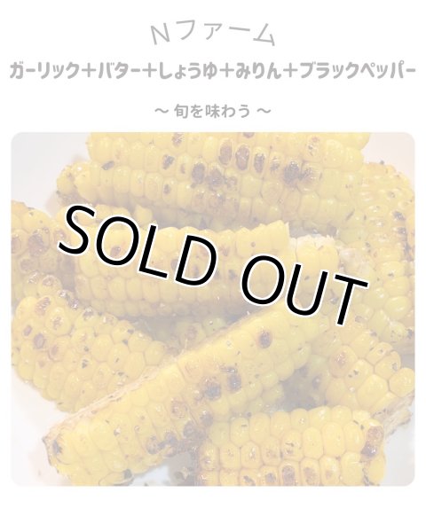 画像5: 期間限定　サニーショコラ（トウモロコシ）（6本入り）＋別途送料 (5)