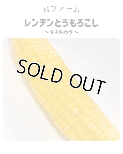 画像3: 期間限定　サニーショコラ（トウモロコシ）（6本入り）＋別途送料 (3)