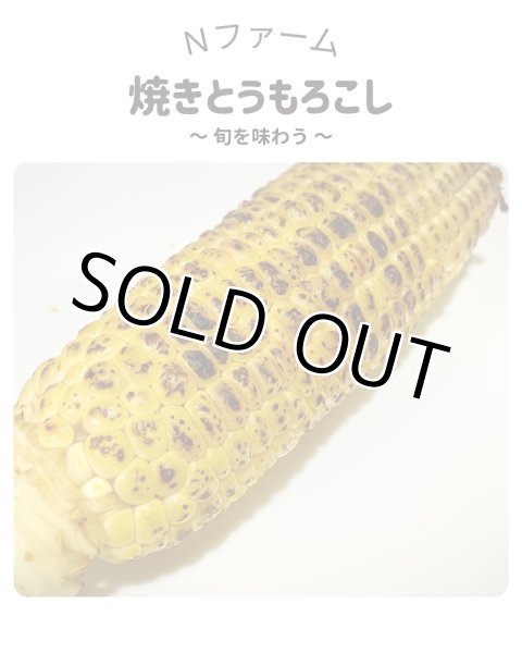 画像4: 期間限定　サニーショコラ（トウモロコシ）（6本入り）＋別途送料 (4)